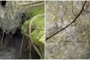 Ditemukan gua berisi 'emas' di Deli Serdang, ahli beri penjelasan