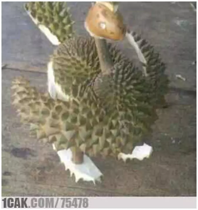 buah durian dimanfaatkan berbagai hal lucu © 2021 1cak.com buah durian dimanfaatkan berbagai hal lucu © 2021 1cak.com