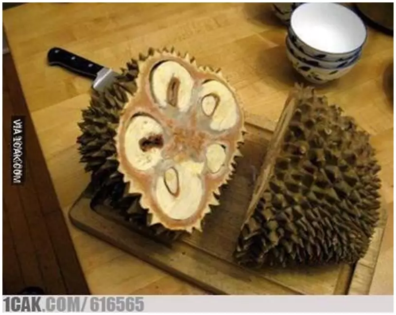 buah durian dimanfaatkan berbagai hal lucu © 2021 1cak.com buah durian dimanfaatkan berbagai hal lucu © 2021 1cak.com