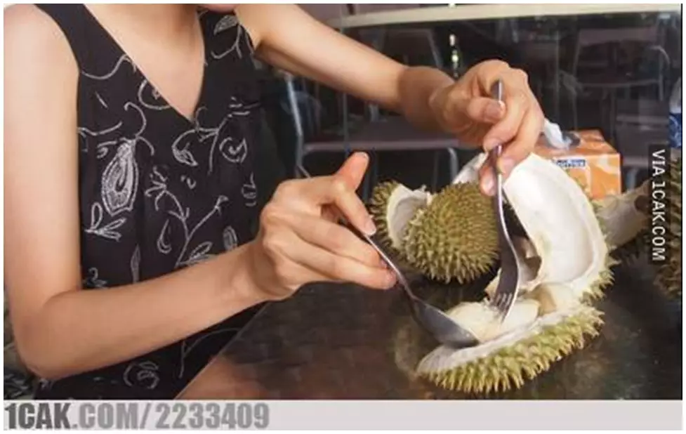 buah durian dimanfaatkan berbagai hal lucu © 2021 1cak.com buah durian dimanfaatkan berbagai hal lucu © 2021 1cak.com