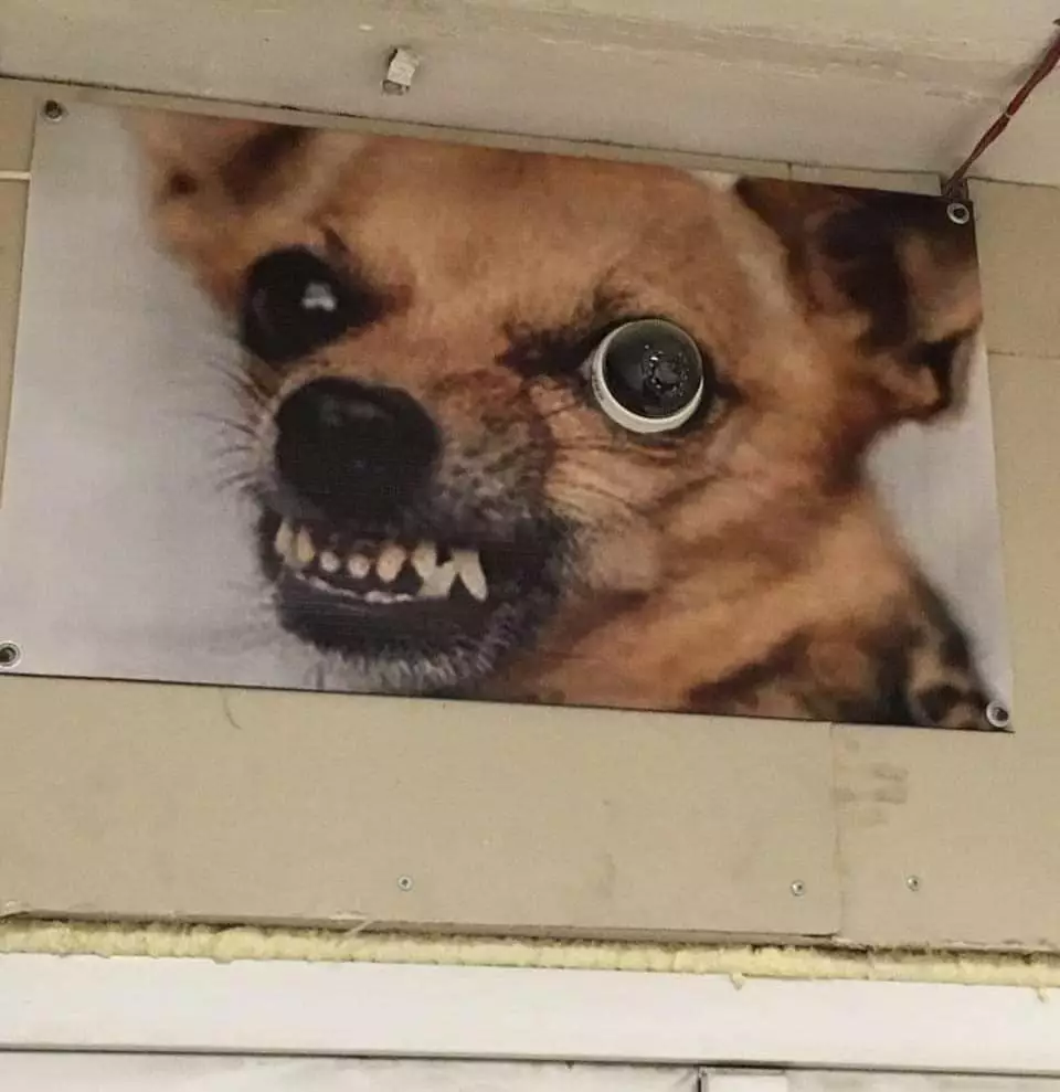 lukisan di tembok ini harus dilihat jeli © 2021 instagram.com lukisan di tembok ini harus dilihat jeli © 2021 instagram.com