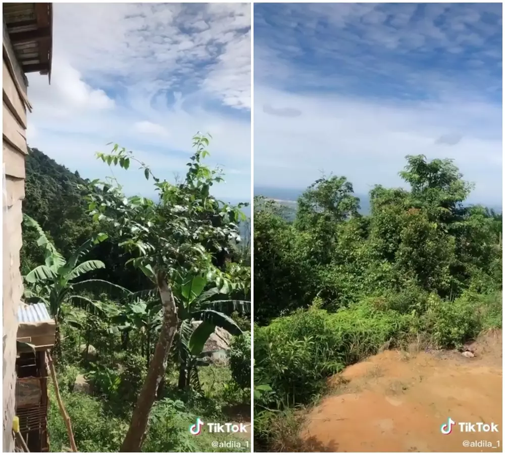 isolasi mandiri di tengah kebun © 2021 TikTok