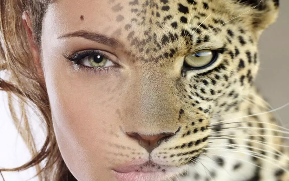 Angelina Jolie © 2021 brilio.net