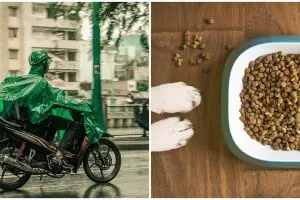 Dapat order beri makan hewan, aksi driver ojol ini bikin angkat jempol