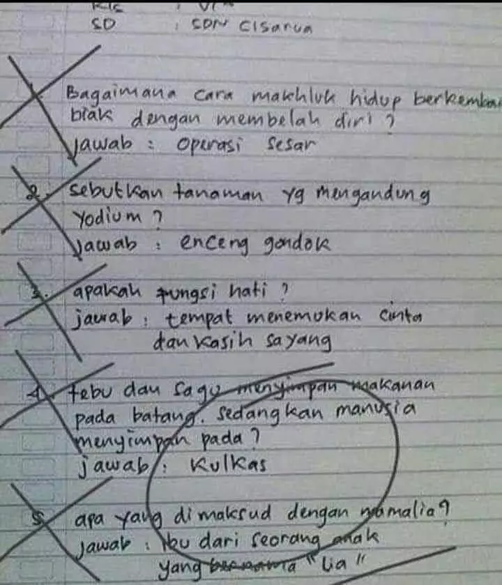 jawaban soal anak sekolah © 2021 brilio.net jawaban soal anak sekolah © 2021 brilio.net