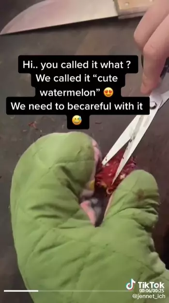 buka rambutan antimainstream © 2021 berbagai sumber