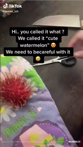 buka rambutan antimainstream © 2021 berbagai sumber