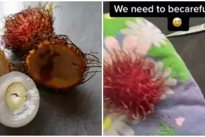 Tutorial kupas rambutan antimainstream, bikin warganet geregetan