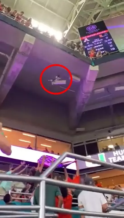 kucing terjun bebas © 2021 Twitter