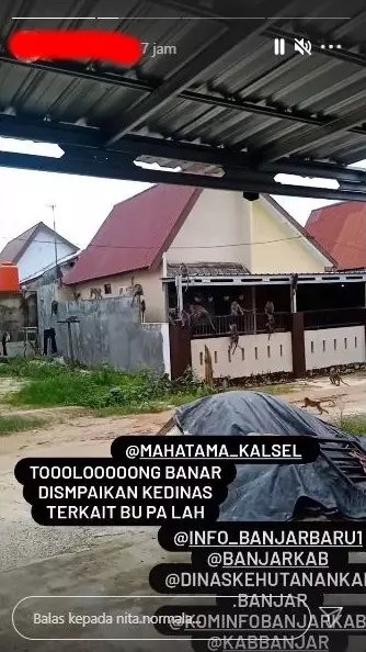 kera serbu rumah warga © 2021 Instagram kera serbu rumah warga © 2021 Instagram