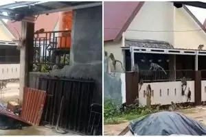 Viral puluhan kera serbu pemukiman warga di Kalimantan Selatan