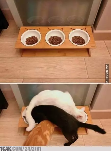 momen lucu terbalik-balik ngeselin banget deh © 2021 1cak.com