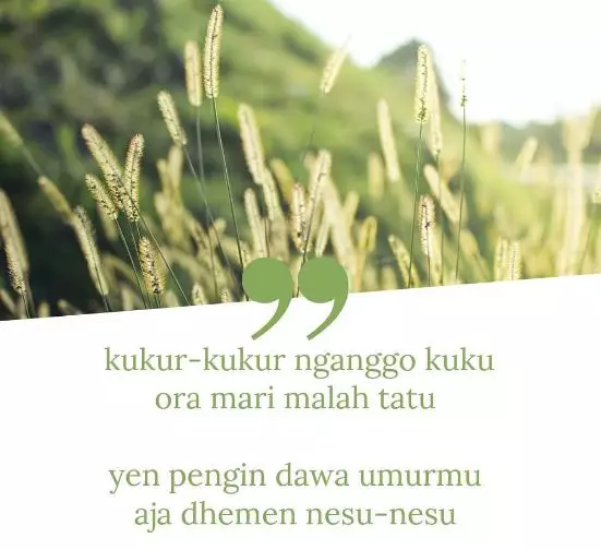 Pantun lucu bahasa Jawa untuk teman © berbagai sumber