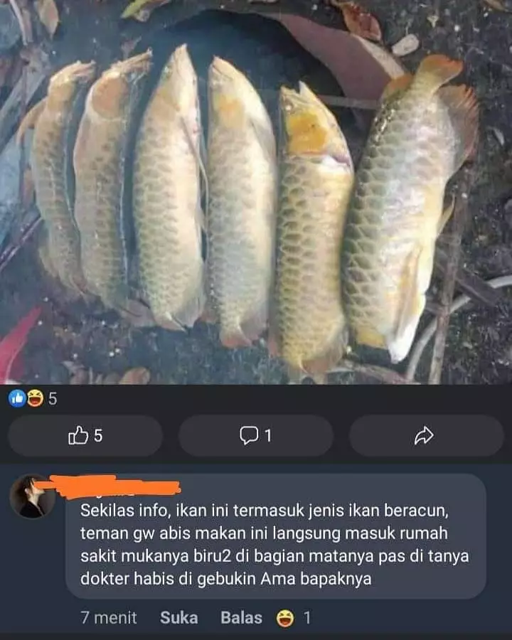 informasi nyeleneh di Facebook bikin mikir © 2021 instagram.com