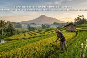 85 Kata-kata bijak anak petani yang inspiratif, keren, dan penuh semangat