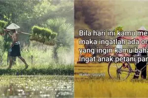 75 Kata-kata bijak anak petani, inspiratif dan penuh semangat