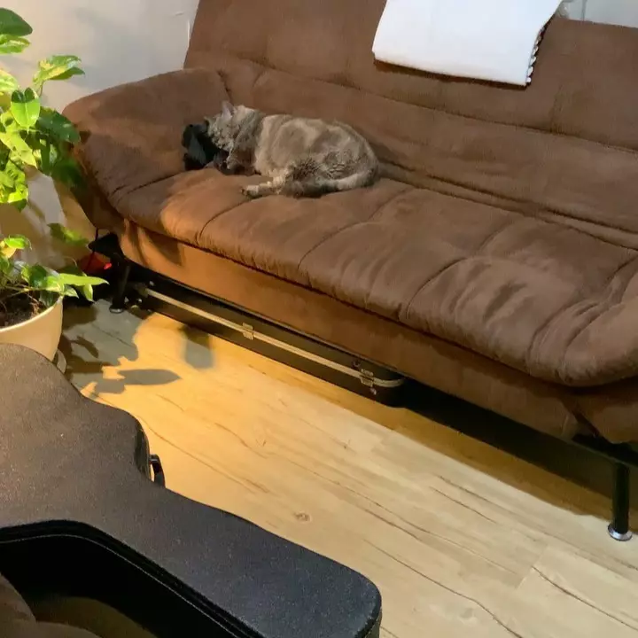 Potret penataan rumah Dikta Instagram Potret penataan rumah Dikta Instagram