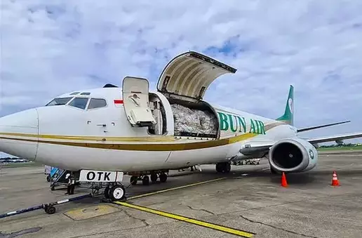 pesawat Rimbun Air ditemukan di Intan Jaya Papua © berbagai sumber