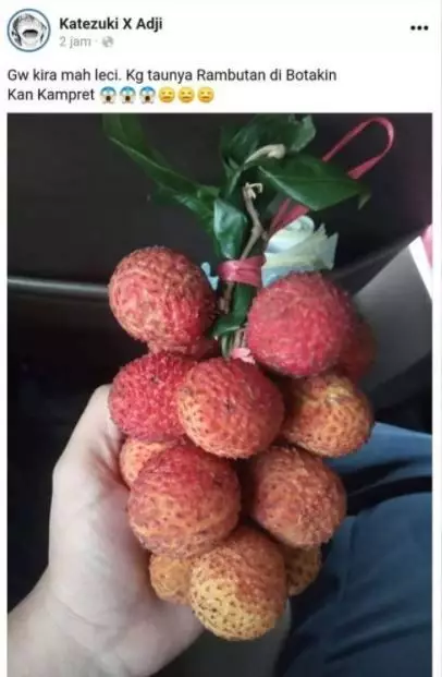 status fb ceritain pengalaman lucu absurd © 2021 instagram.com