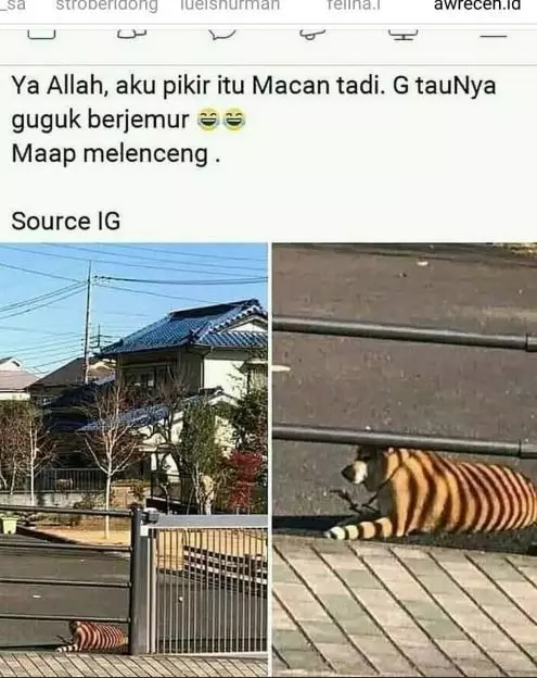 status fb ceritain pengalaman lucu absurd © 2021 instagram.com