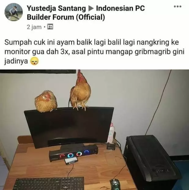 status fb ceritain pengalaman lucu absurd © 2021 instagram.com