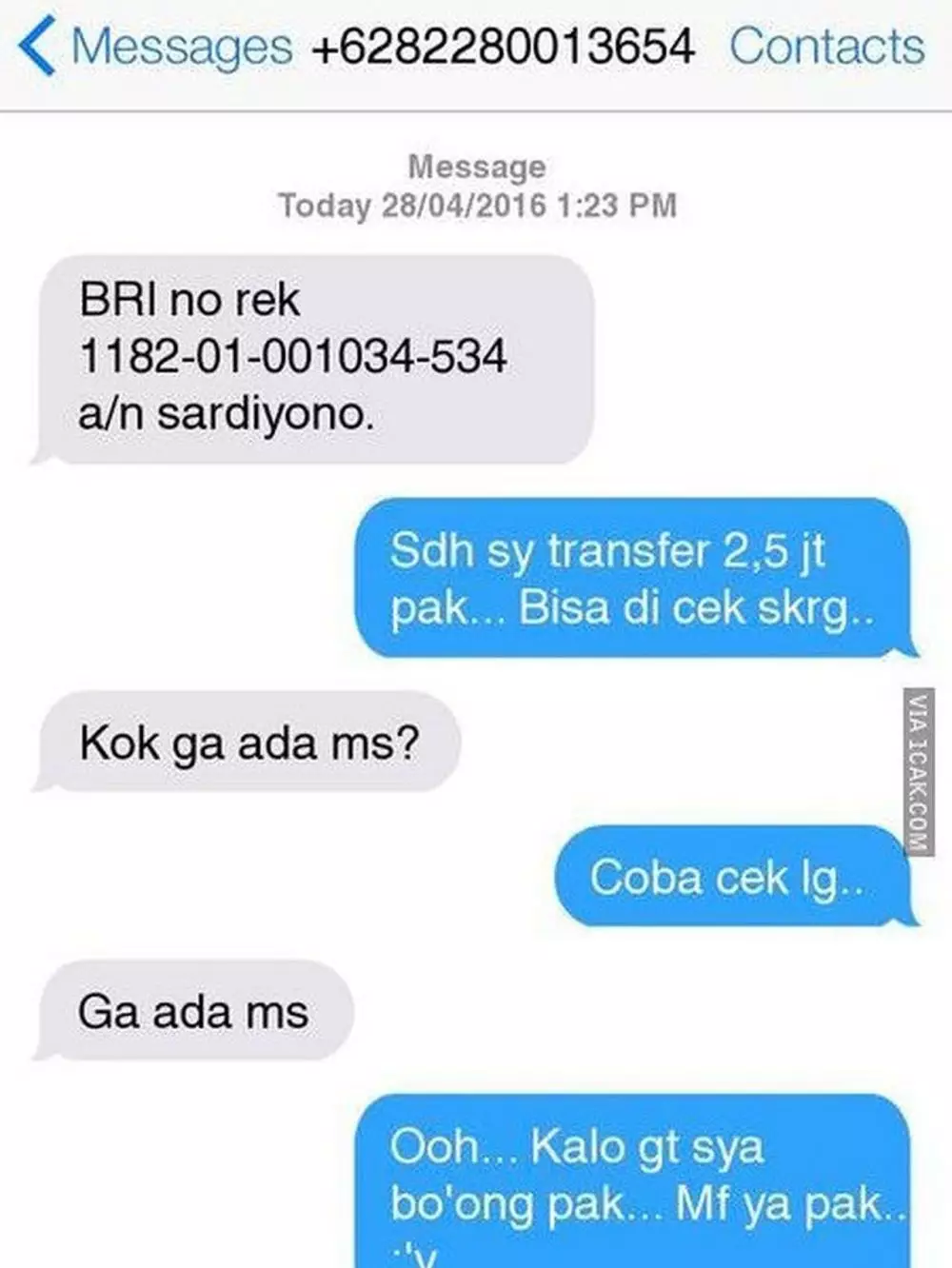 27 Balasan SMS penipuan ini kocak berbagai sumber