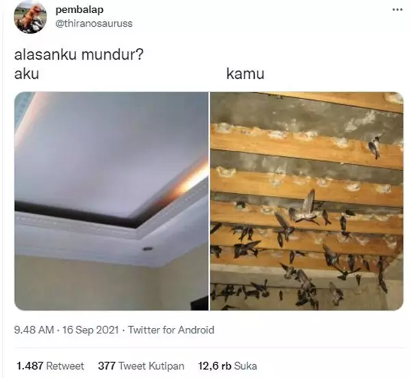 status alasanku mundur © 2021 Twitter status alasanku mundur © 2021 Twitter