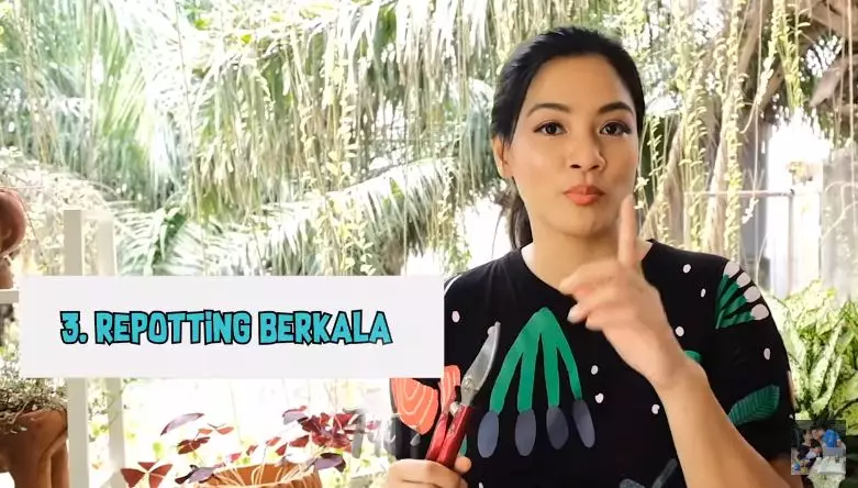 7 cara Titi Kamal rawat tanaman © YouTube/Titi dan Tian 7 cara Titi Kamal rawat tanaman © YouTube/Titi dan Tian