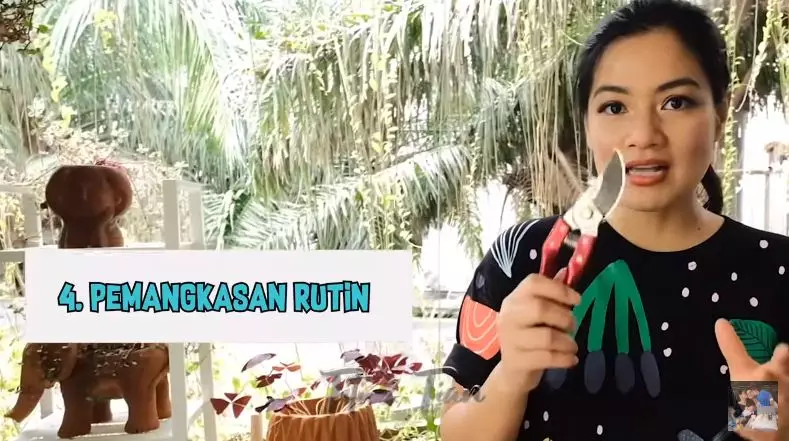 7 cara Titi Kamal rawat tanaman © YouTube/Titi dan Tian 7 cara Titi Kamal rawat tanaman © YouTube/Titi dan Tian