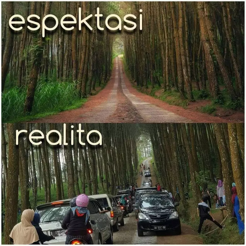 11 Potret lucu ekspektasi vs realita ala warga Facebook Facebook/@Meme and Anime Comic Indonesia
