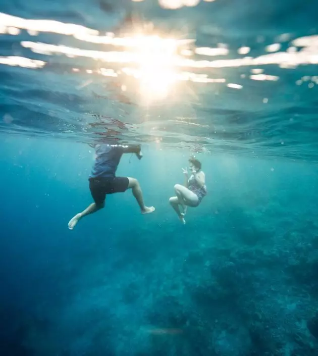 Sandrinna Michelle diving  Instagram  Sandrinna Michelle diving  Instagram