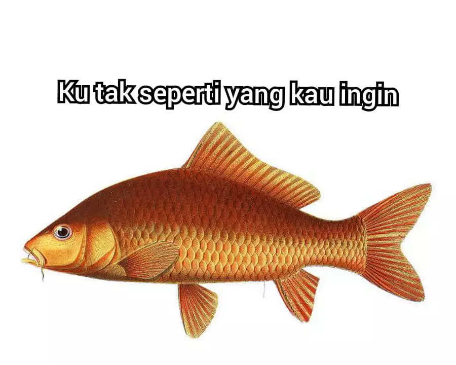 sambung lirik pakai benda © 2021 Berbagai sumber