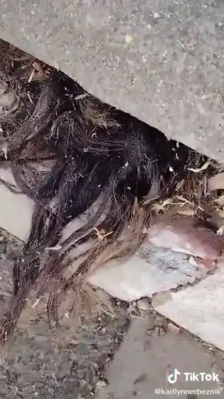 rambut di kuburan © 2021 Berbagai sumber