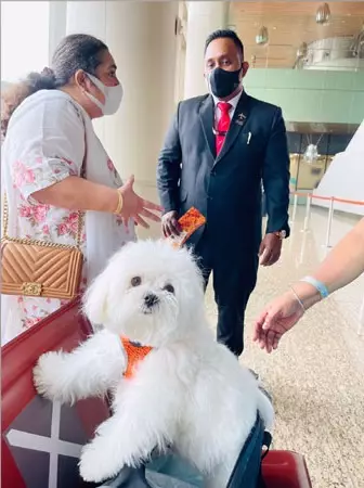 wanita India ini booking seluruh kabin © worldoffbuzz.com