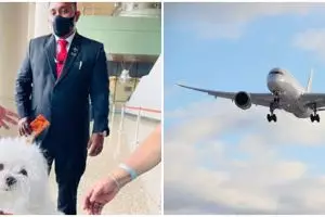 Pergi bareng anjingnya, wanita India pesan seluruh kabin kelas bisnis