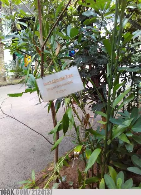 peringatan pakai bahasa Inggris lucu abis © 2021 1cak.com peringatan pakai bahasa Inggris lucu abis © 2021 1cak.com