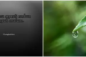 101 Kata-kata tentang embun pagi, bangkitkan motivasi diri