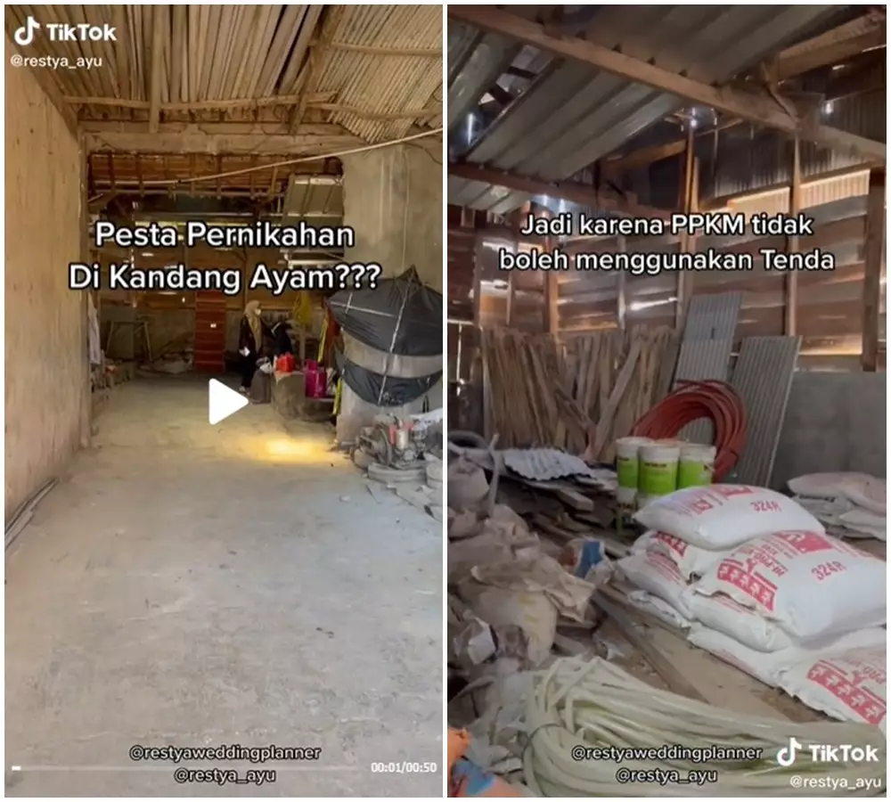 pesta nikah kandang ayam © 2021 TikTok pesta nikah kandang ayam © 2021 TikTok