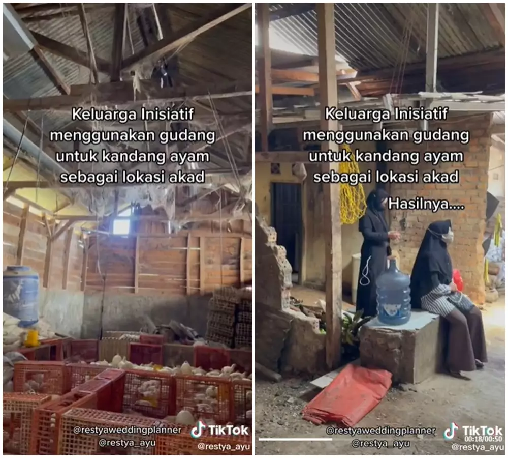 pesta nikah kandang ayam © 2021 TikTok pesta nikah kandang ayam © 2021 TikTok