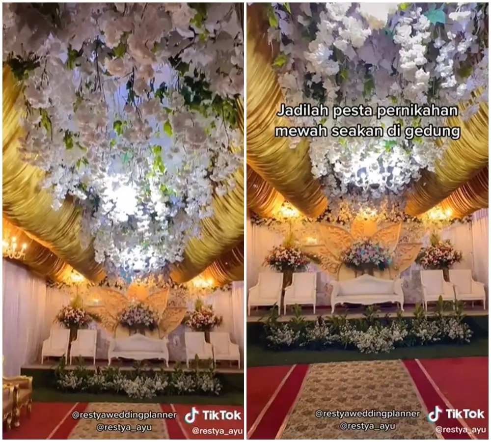 pesta nikah kandang ayam © 2021 TikTok pesta nikah kandang ayam © 2021 TikTok