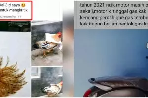 11 Status FB lucu mau pamer ini malah kelihatan bohongnya