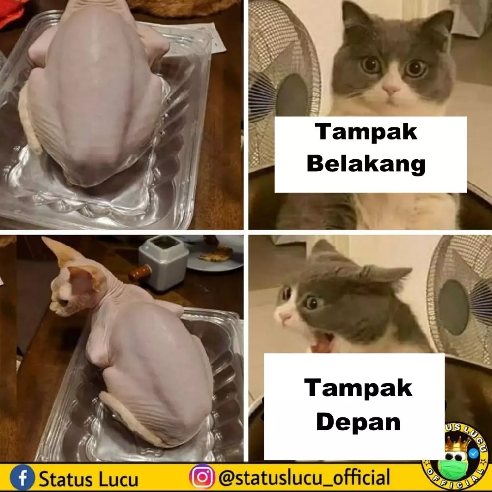 potret lucu tampak depan sama belakang lucu abis © 2021 instagram.com potret lucu tampak depan sama belakang lucu abis © 2021 instagram.com