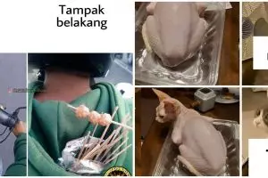 11 Potret lucu tampak depan dan tampak belakang ini bikin melongo