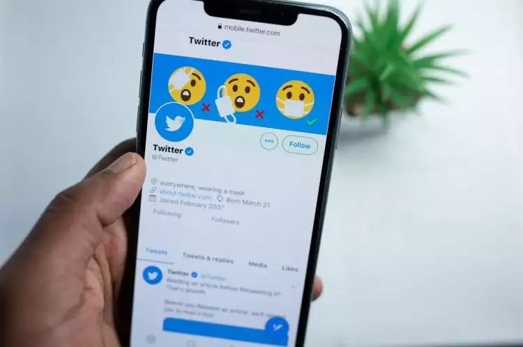 Twitter luncurkan fitur 'Tips', kreator konten bisa dapat cuan