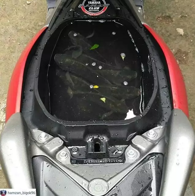 potret lucu isi jok motor nyeleneh banget nih © 2021 1cak.com