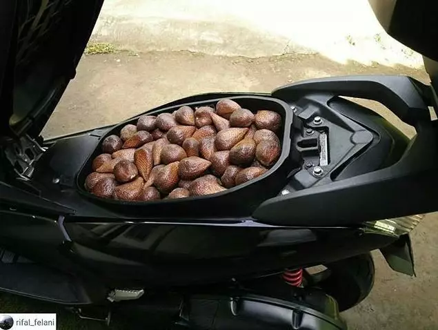 potret lucu isi jok motor nyeleneh banget nih © 2021 1cak.com