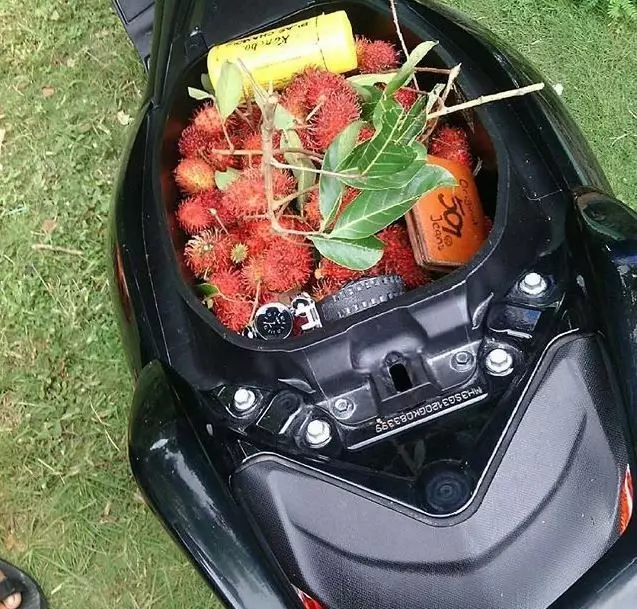 potret lucu isi jok motor nyeleneh banget nih © 2021 1cak.com