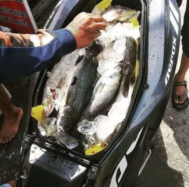 potret lucu isi jok motor nyeleneh banget nih © 2021 1cak.com