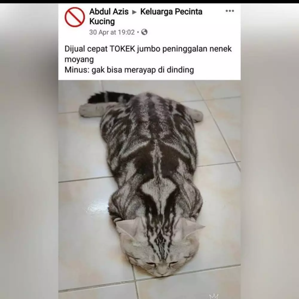 status FB lucu jualan banyak minus banget © 2021 instagram.com