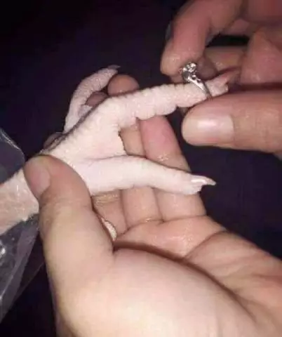 potret absurd makan ayam © 2021 berbagai sumber potret absurd makan ayam © 2021 berbagai sumber